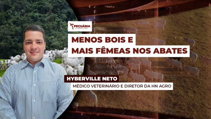 Volume de animais abatidos até maio mostra menor oferta de bois e maior participação de fêmeas