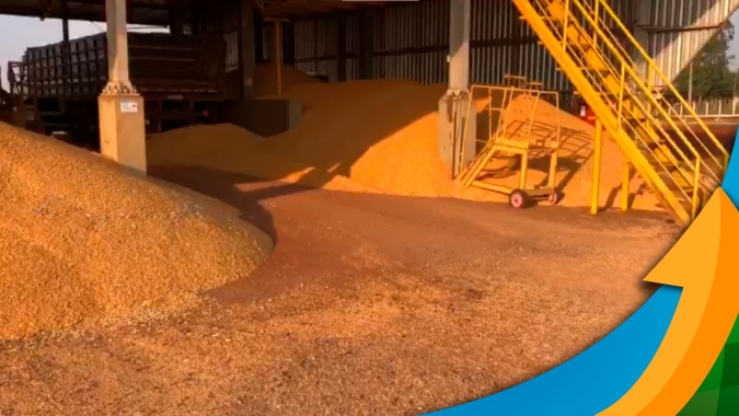 Após anos de perda de produtividade, Dr. Camargo/PR colhe boa safrinha de milho, mas esbarra na falta de espaço para armazenagem