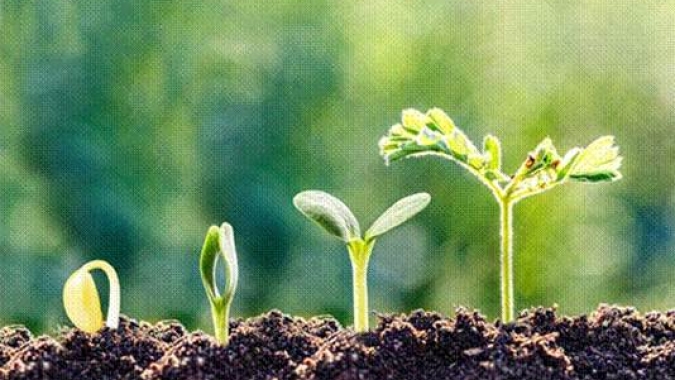 Estratégias de mercado no uso de bioinsumos para o produtor rural movimentam setor