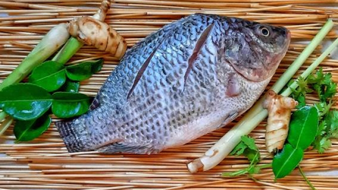 Mapa vai realizar Fórum de Internacionalização do Pescado Brasileiro