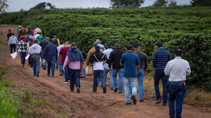 Fundação Procafé realiza Dias de Campo em Varginha (MG)