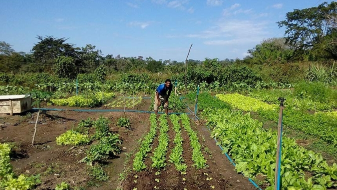 Promulgada lei que prevê socorro de R$ 2,5 mil para agricultores familiares na pandemia
