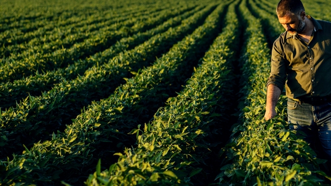 Protegendo o futuro da agricultura brasileira