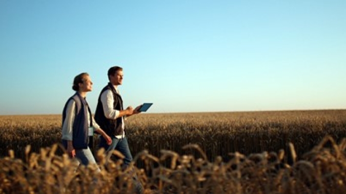 Colheita de Resultados: Como o Canal de Denúncias Impacta Positivamente o Agronegócio