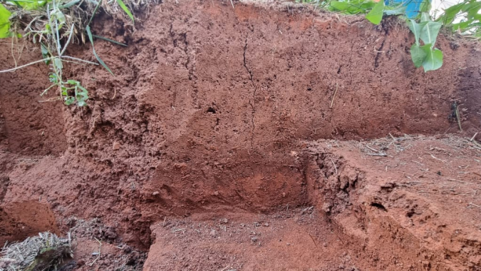 Cultura do monitoramento: Agricultura regenerativa e sistema plantio direto