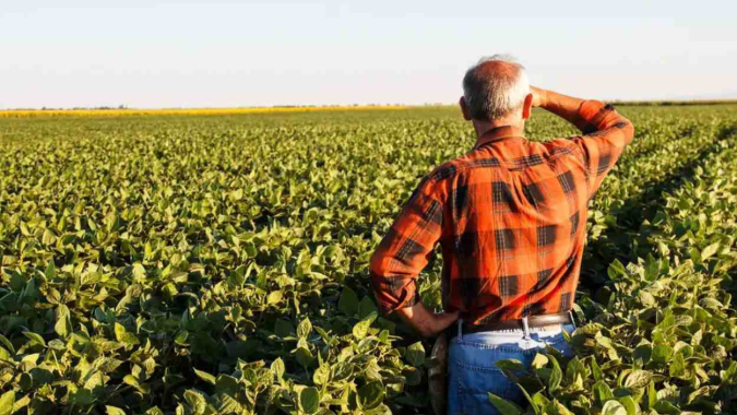 Inadimplência no agronegócio em 2025: o desafio do Banco do Brasil