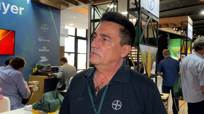 Clima ajudou no controle da Cigarrinha nesta safrinha de milho, mas aumentou incidência de doenças