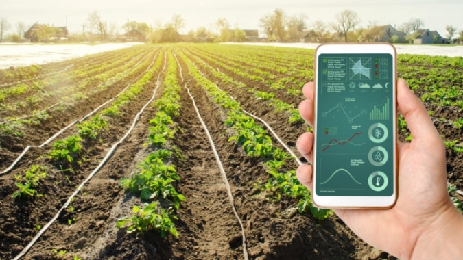 Inovação e tecnologia no campo: startups agilizam processos e aumentam produtividade