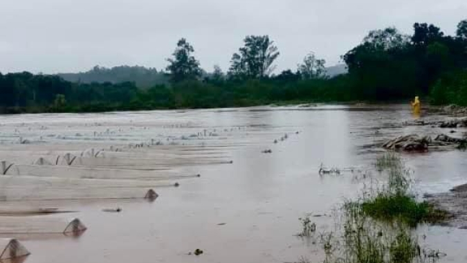 Mapa institui Câmara Temática de Gestão de Risco Agropecuário para enfrentar desafios ambientais e climáticos no setor