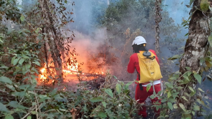 Fundo auxiliará produtores rurais atingidos por incêndios em SP