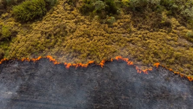 CNA estima prejuízo de R$ 14,7 bilhões com incêndios