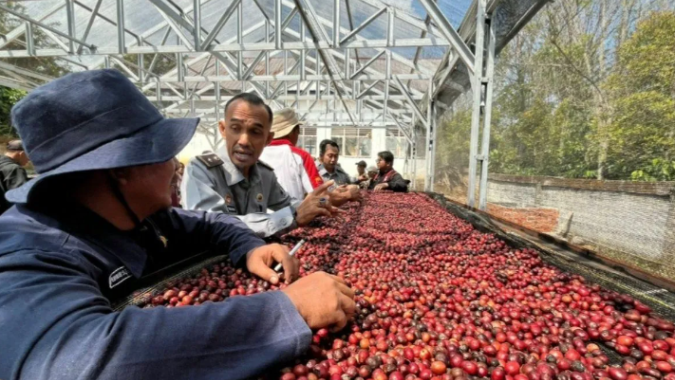 Corrida para comprovar origem: Indonésia abre protocolo para 54 indicações geográficas de café