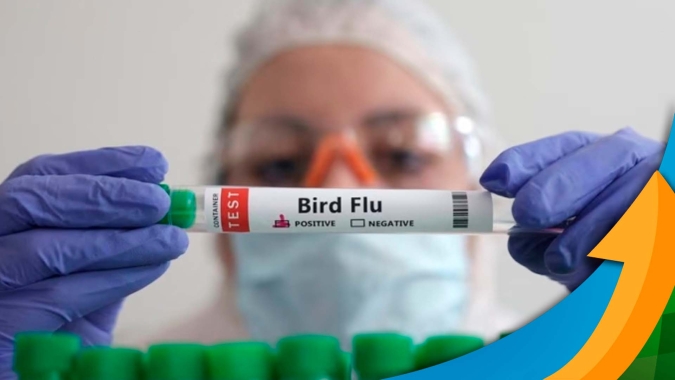 Influenza Aviária: Caso positivo em ave silvestre é confirmado em São Paulo
