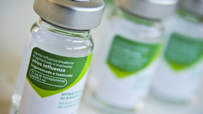 Butantan estuda desenvolvimento de vacina contra gripe aviária H5N1; doença tem alta taxa de mortalidade