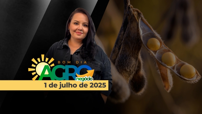 Bom Dia Agro 01/07/2025 - Volta das retenciones 'originais' na Argentina, judicialização do IOF, Plano Safra e a nova era da comunicação