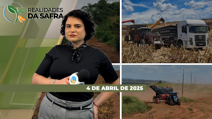 Realidades da Safra 04/04/2025 - Milho em Jataí (GO) está com bom potencial; colheita da soja em Balsas (MA) sendo finalizada; milho em Araguari (MG) impactado pela falta de chuva