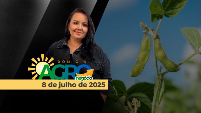 Bom Dia Agro 08/07/2025 - Desenvolvimento da safra americana, vendas de milho e soja em MT e o mercado do gergelim em alerta