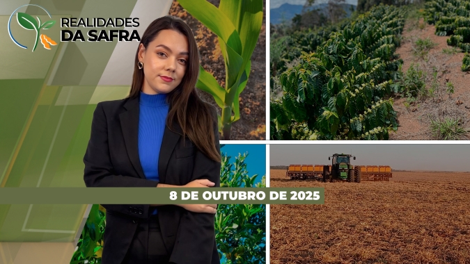 Produtores do MT aguardam o retorno das chuvas para concluir o plantio; especialista alerta a importância do manejo inicial contra pragas e doenças