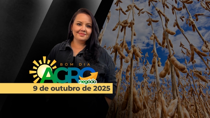 Soja: Último tri de 2025 não ter só força tradicional da demanda interna, como ainda das exportações pelo Brasil