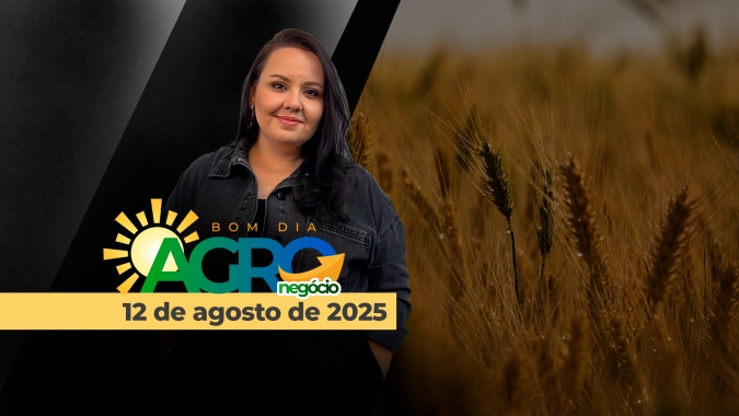 Bom Dia Agro - 12/08/2025