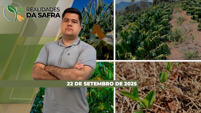 Produtores devem ter atenção no plantio da soja enquanto Mato Grosso espera safra histórica de algodão