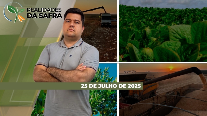 Santa Catarina fecha safra com boas produtividades de soja e milho, enquanto Rondon do Pará/PA teve quebra na safrinha