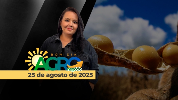 Bom Dia Agro 25/08/2025 - China x EUA ainda sem acordo para o agro, soja testando máximas no BR e milho parando de cair no mercado interno