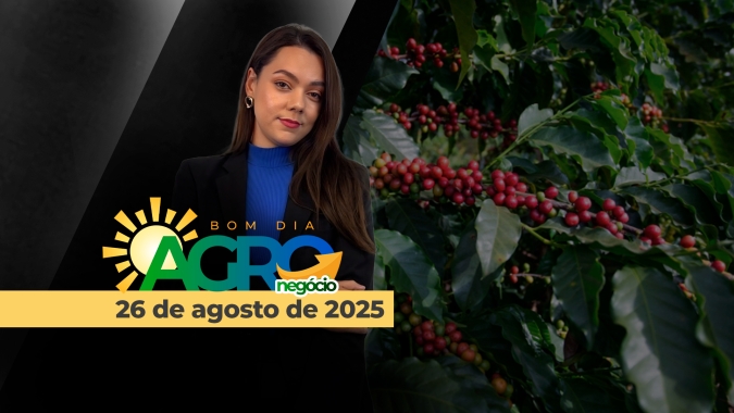 Bom Dia Agro 26/08/2025 - Soja volta a ganhar força em Chicago com safra BR no radar, enquanto o café perde mais 3% na Bolsa de Nova York