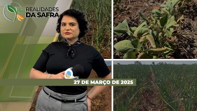 Realidades da Safra 27/03/2025 - Colheita da soja avança em SC e no MA; milho segunda safra recebe boas chuvas em Tapurah (MT)
