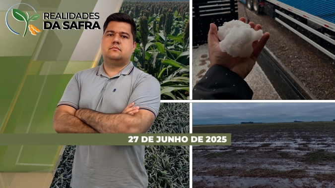 Chuva impede plantio e traz prejuízos no trigo do RS, enquanto colheita do milho começa em Chapadão do Sul/MS