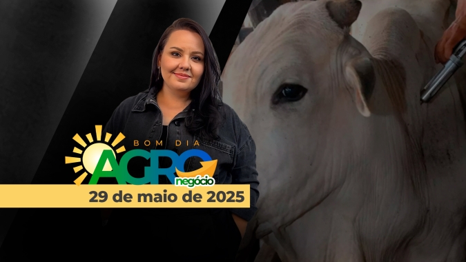Bom Dia Agro 29/05/2025 - Brasil livre de aftosa em vacinação, preços do boi gordo, Plano Safra e a demanda alta pela soja do BR