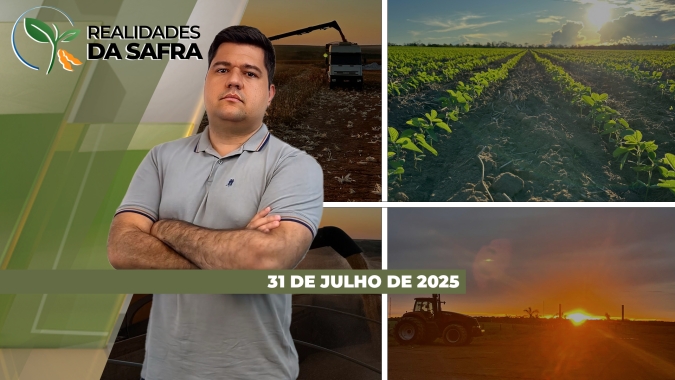 Goiás segue com colheita de milho atrasada, mas espera altas produtividades