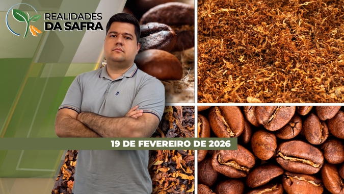 Clima adverso afetou desenvolvimento dos grãos de café em Minas Gerais