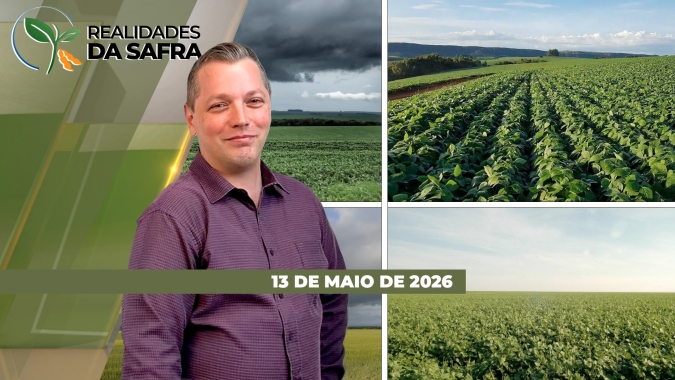 Impactos climáticos trazem incertezas para a produtividade do ciclo 25/26 de grãos