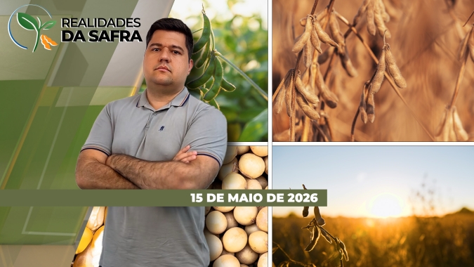 Produção de sementes de soja na segunda safra do Rio Grande do Sul demanda atenção aos processos, mas garante mais qualidade para o produtor