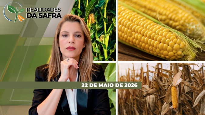 REALIDADES DA SAFRA - EDIÇÃO 22-05-2026