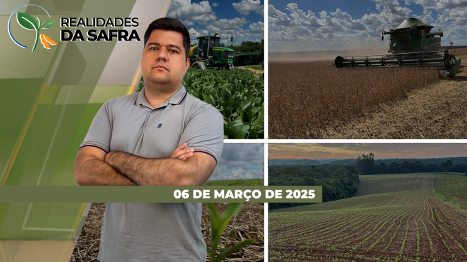 Colheita da soja na reta final em São Paulo e Tocantins, mas plantios do milho enfrentam dificuldades