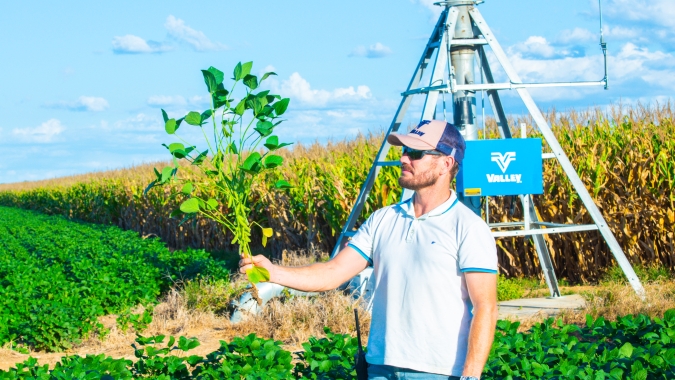 Fazenda no Maranhão aumenta produção em 20% na primeira safra irrigada