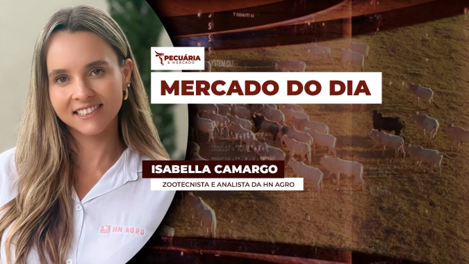 Cenário é positivo para arroba e preços devem subir em junho,  porém com limitações