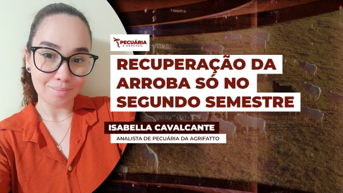 Movimento de queda da arroba deve seguir nos próximos meses, mas cenário para o segundo semestre é favorável para os preços