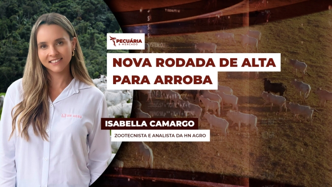 Oferta curta de animais e demanda forte promovem nova rodada de alta na arroba do boi ; SP já negocia a R$320/@