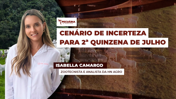 Exportações de carne bovina que amenizaram queda da arroba na primeira quinzena de julho, surgem como dúvidas após tarifaço