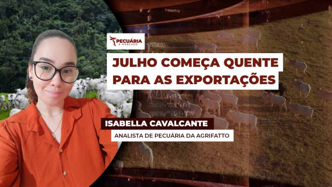 Preço da carne bovina brasileira no mercado internacional ganha fôlego e chega a US$5,5 mil /t