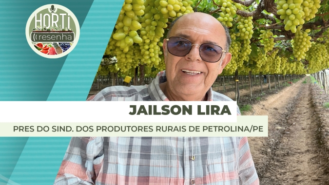 HORTI RESENHA #86 - Petrolina/PE se destaca como polo de produção de frutas
