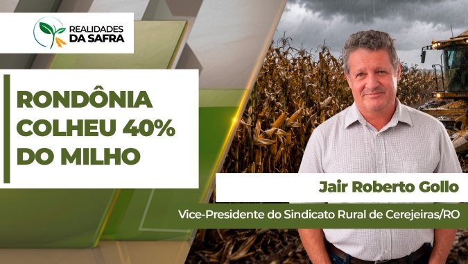 Rondônia já colheu 40% da safrinha de milho com produtividades dentro da normalidade