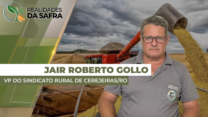 Colheita da soja chega na metade das áreas em Cerejeiras/RO com produtividades entre 70 e 85 sc/ha