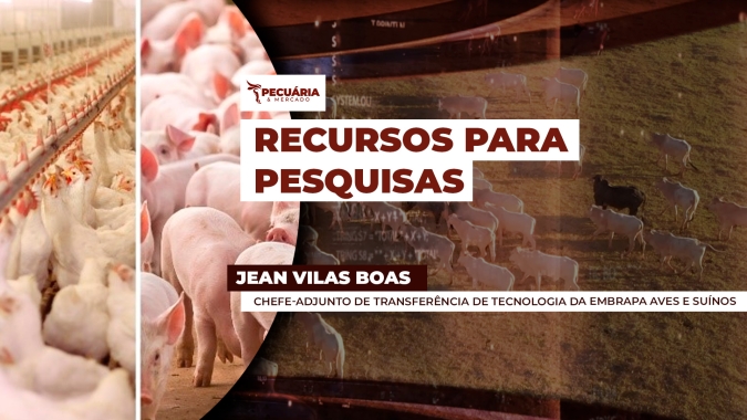 Pesquisas na Embrapa Aves e Suínos  avançam em três frentes, agro digital, sanidade e sustentabilidade