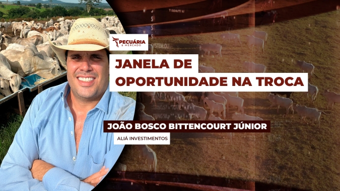 Alta recente da arroba do boi gordo abre janela de oportunidade para compra de bezerros