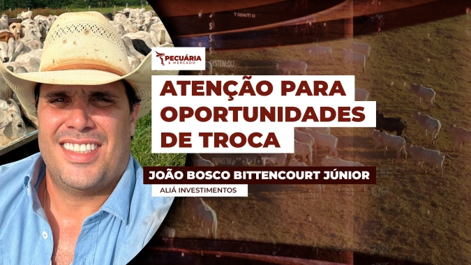 Especialista orienta para dois momentos do ano que podem ser favoráveis para quem precisa recompor o rebanho