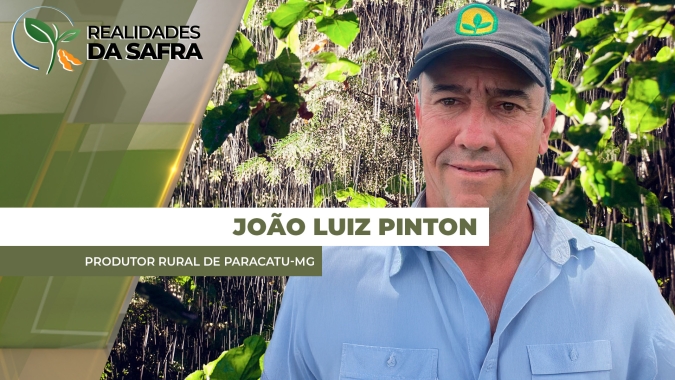Colheita da soja avança com boa produtividade em Paracatu/MG, mas chuva atrasa trabalhos